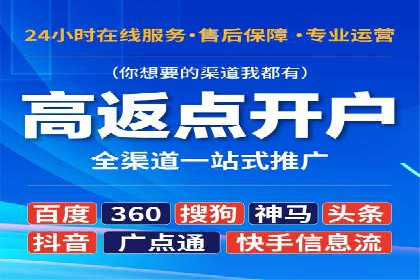 SEM服务案例：打造行业领先品牌